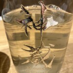 京都さしみ丸 - 