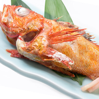 つきぢ神楽寿司_1