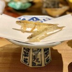 Tempura Tenshou - 