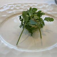 イリエスケープ - 