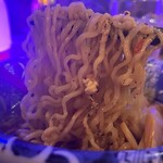 ブーティコール - 