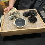 naoto.K - 食材紹介