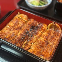 うなぎ割烹 大江戸 - 