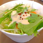 華かんざし - 大根，にんじん，水菜のサラダ