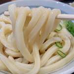 Utsumi Udon - 