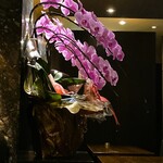 カーヴ - 店内イメージ※胡蝶蘭