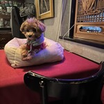 ガストロノミヤ 古賀圭祐 - 