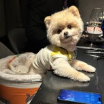 ガストロノミヤ 古賀圭祐 - 