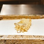 日本橋 蕎ノ字 - 太刀魚