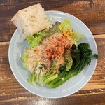 ハラペコキッチン - 料理写真:パスタランチのサラダ。ドレッシングおいしい！葉っぱの下は千切り白菜が瑞々しかった。