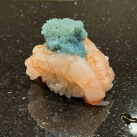 鮨 志の助 - 