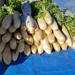 NAMEGATA Komeko Baumkuchen