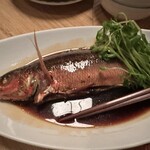 男前料理と五島列島直送の魚　神楽坂はずれ　無花果 - 