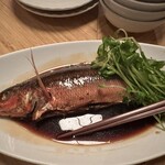 男前料理と五島列島直送の魚　神楽坂はずれ　無花果 - 