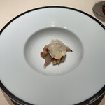 フォリオリーナ・デッラ・ポルタ・フォルトゥーナ - 