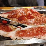 Oosaka Yakiniku Horumon Futago - 