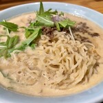 Tanaka Men Hanten - ごますり上手の担々麺 麺はこんな感じ