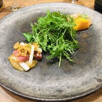 Selvaggio - 