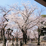 furenchiresutorankudampureji-ru - 靖国神社の桜です