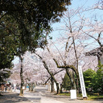 furenchiresutorankudampureji-ru - 靖国神社の桜です