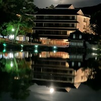 きつね - 