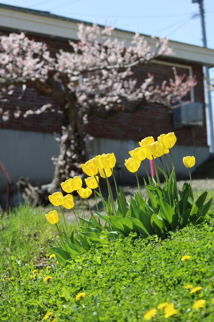 ちぱしり - 桂台（カフェ）の写真