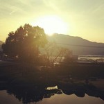 庭園の宿 石亭 - サロンからの朝日