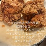 Karaage Hitosuji - 