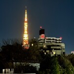 鮨楽座 八の樹 - 