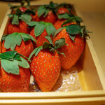 Metis - 奈良県産 ”古都姫 