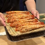 鮨楽座 八の樹 - 