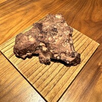 ル スプートニク - 
