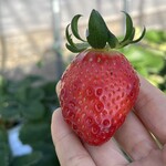 姫路ハートフル観光農園 - 