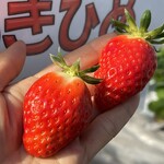 姫路ハートフル観光農園 - 