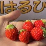 姫路ハートフル観光農園 - 