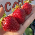 姫路ハートフル観光農園 - 