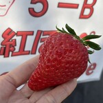 姫路ハートフル観光農園 - 