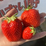 姫路ハートフル観光農園 - 