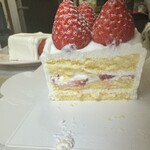 トップス - 控えめなカット