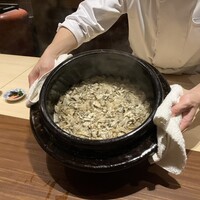 弧柳 - 