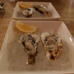 Brasserie Brown with Virgin Oyster House - 生ガキ