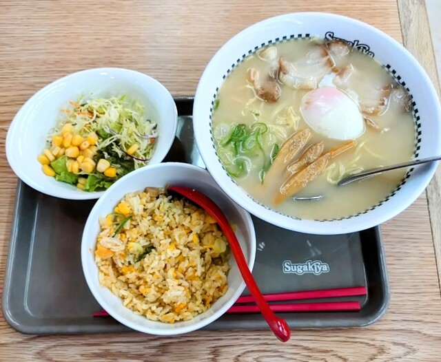 Sugakiya Purio Toyokawa Ten