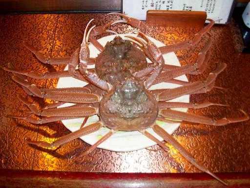 まつや - 中央弘前（居酒屋）の写真