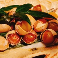 御曹司 松六家 - 
