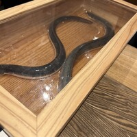 にょろ助 銀座 - 