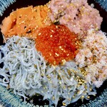 Kamakuradomburiichiba - 5色丼
