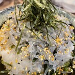 Kamakura Shokudou - 生しらす丼