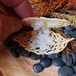 RAVI - チーズの香ばしい味わいのするチュールに
      挟まれているのは生のアオリイカの刻んだ品
      
      これもチーズが香ばしくてイカの旨味で美味しい