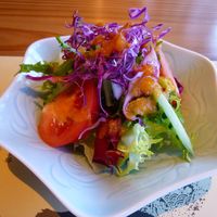 鹿児島華蓮 銀座店 - 野菜サラダにオレンジソースがうまうま＾＾