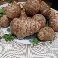 スガラボヴィー - 